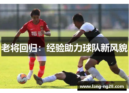 老将回归：经验助力球队新风貌